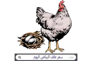 سعر علف البياض اليوم الأحد 25-10-2026 سعر علف البياض اليوم