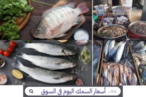 “من السوق” أسعار السمك اليوم الأحد 25-10-2026 أسعار السمك اليوم سعر السمك البلطي اليوم أسعار الأسماك اليوم وسعر السمك البوري اليوم
