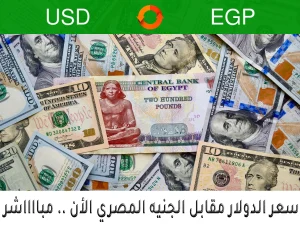 سعر الدولار مقابل الجنيه المصري اليوم الأحد 25-10-2026 سعر الدولار مقابل الجنيه المصري اليوم سعر الدولار بالمصري سعر الدولار مقابل الجنيه المصري