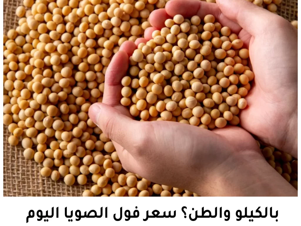 سعر كيلو فول الصويا - سعر طن فول الصويا - سعر فول الصويا soybean